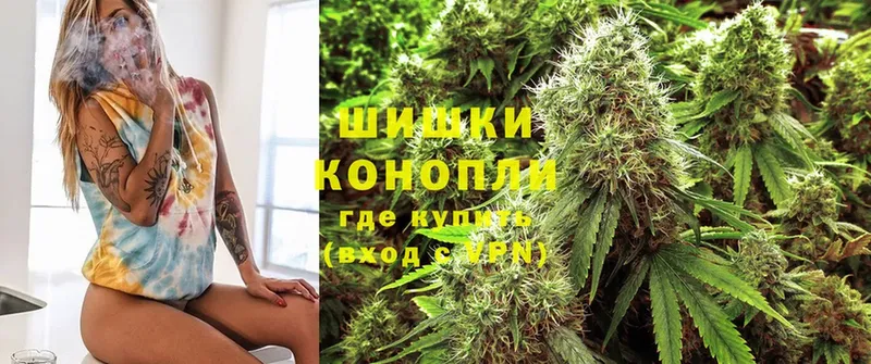 Бошки марихуана Amnesia  магазин продажи наркотиков  Кирсанов 